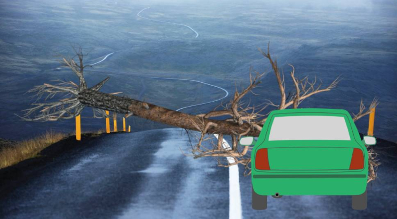 Как и на каком основании можно обжаловать лишение за сплошную разметку?