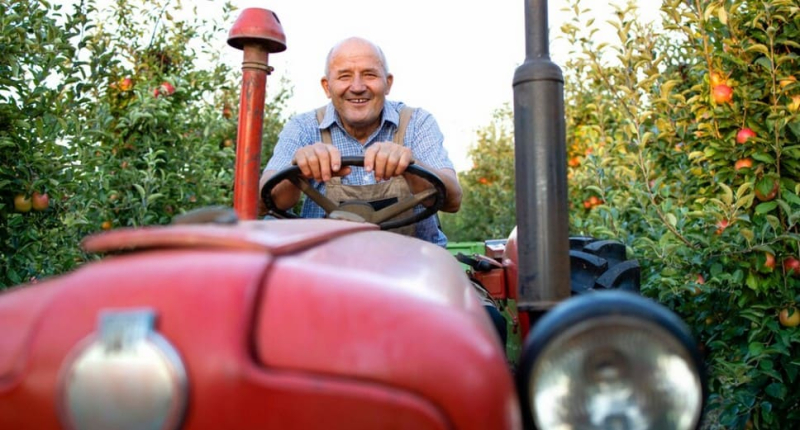 Можно ли ездить на тракторе в состоянии опьянения и что за это будет?