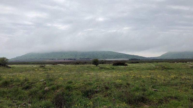 Три члена "Хезболлы" погибли при ударе по территории Ливана, пишут СМИ